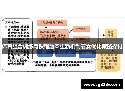 体育组合训练与课程版本更新机制节奏优化策略探讨